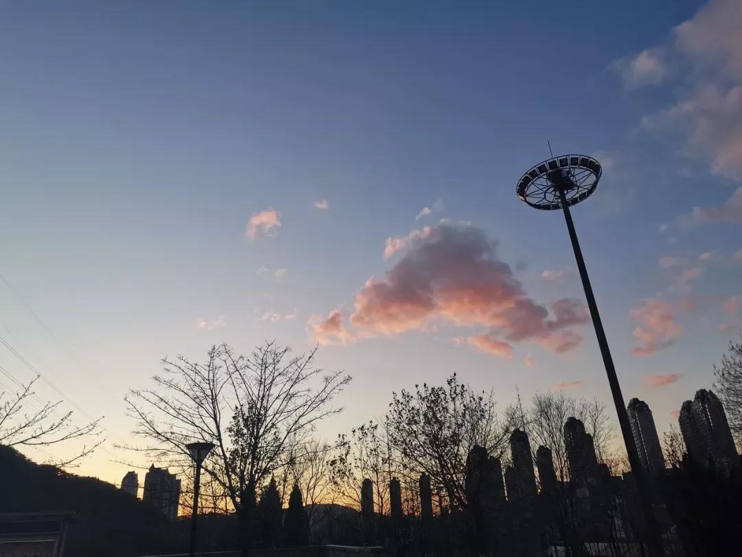 辽宁省民办大学（二）大连东软信息学院