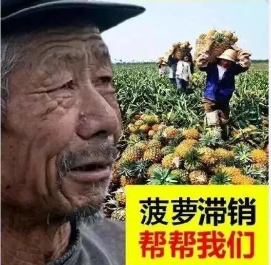 三十而已1-43集全免费大结局,三十而已结局最后的那段话