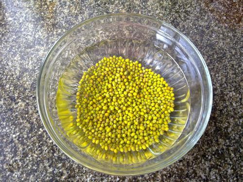 十几平露天阳台种菜怎么砌菜园,阳台怎么布置菜园