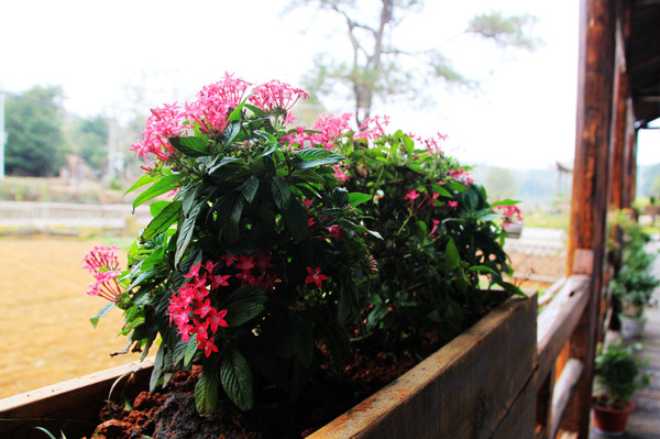 鄱湖之秋,鄱湖之滨信江之畔余干