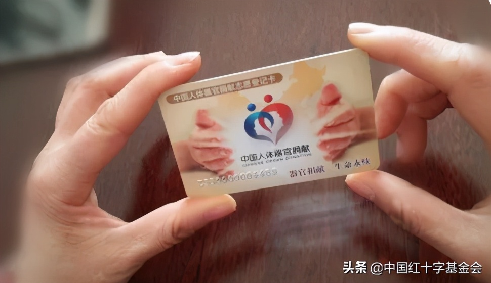 红十字会器官捐献流程,中国器官捐献指南