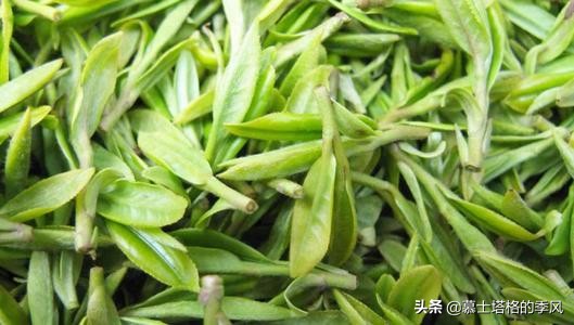 贵州适合养老的小城,贵州哪个城市最适合养老居住