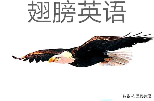 关于thing的词语,anything的用法总结