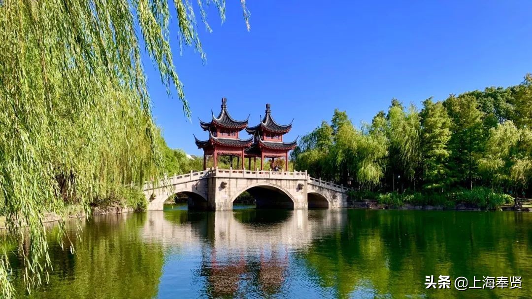 奉贤五一游玩打卡的地方,奉贤休闲度假游玩攻略