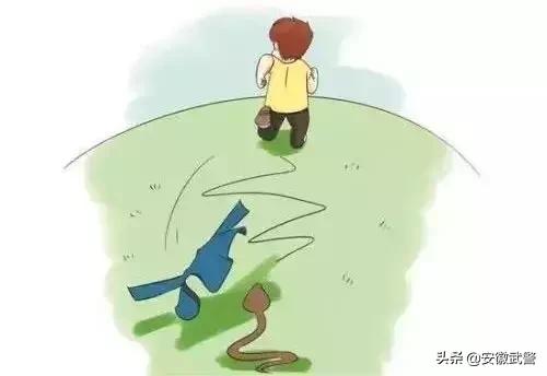 蛇在什么情况下才会主动攻击人,蛇会互相攻击吗