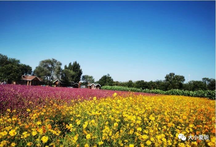 北京适合踏春旅游景点,北京春天看花的景点推荐