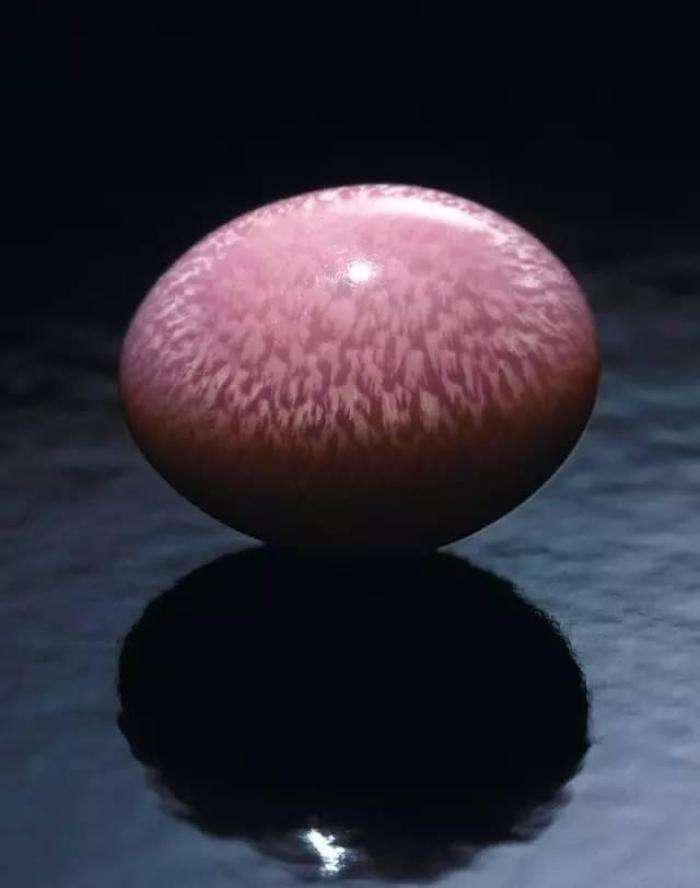 孔克珠是不是珍珠,孔克珠珍稀品种