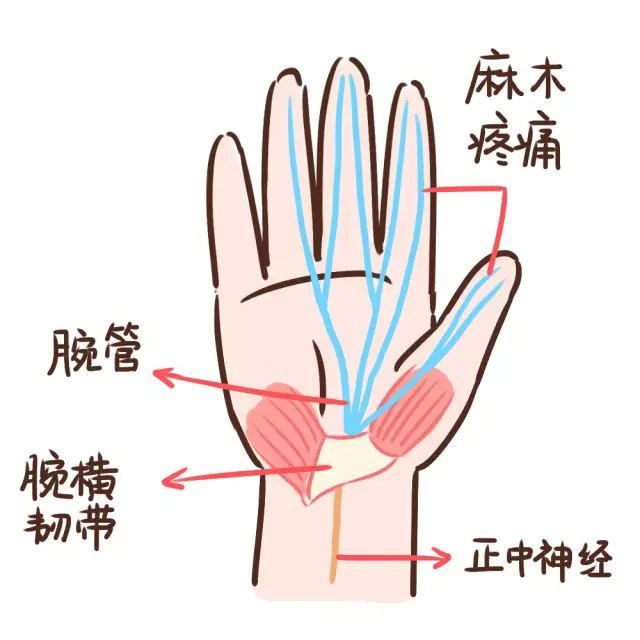 生完宝宝全身痛怎么办,生完宝宝后关节痛怎么补救