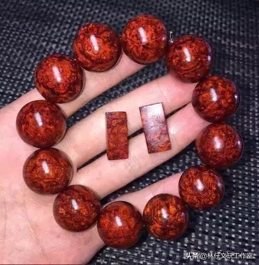 天价印度小叶紫檀树,印度小叶紫檀千年树王