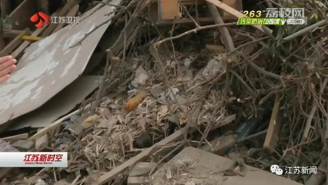 2024洪泽湖生态红线,洪泽湖大堤建设现状