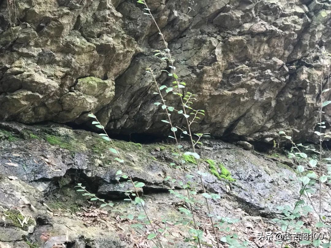 萧绍古道沿途风景,萧绍古道难爬吗