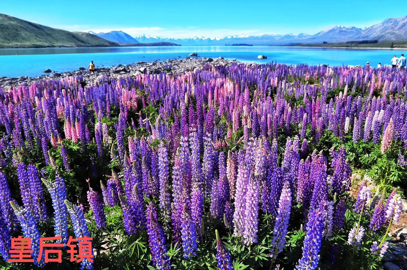 你知道吗人民币的主要成分,你知道吗你就是我的意外