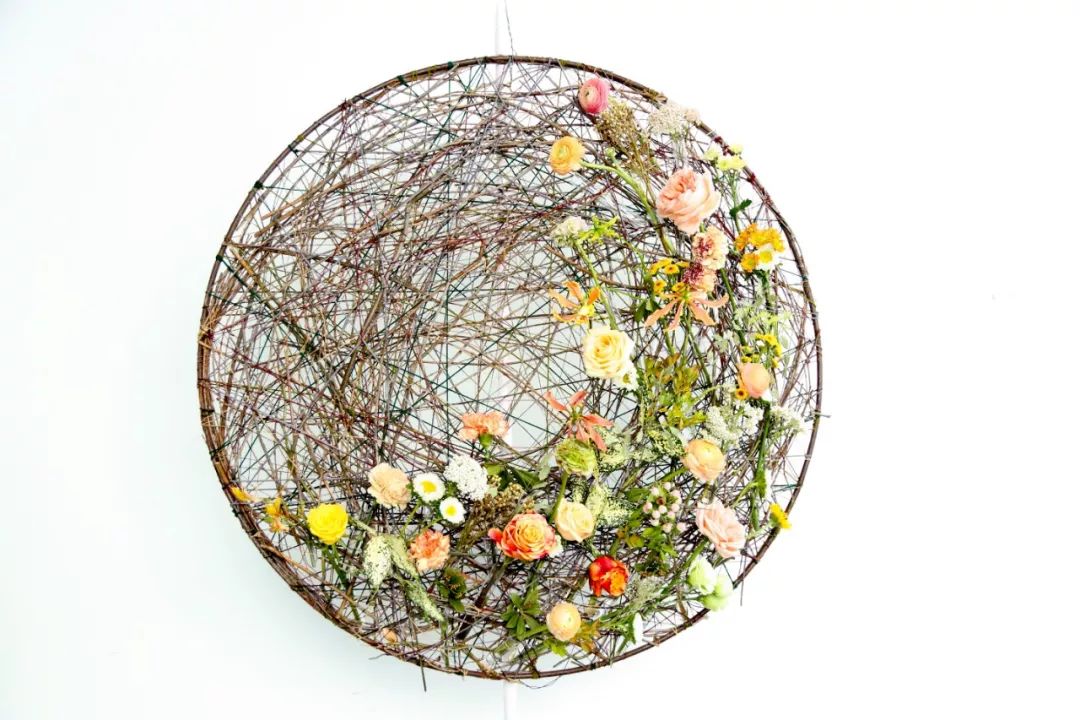 6天，教你用色彩“粉”碎所有不可能