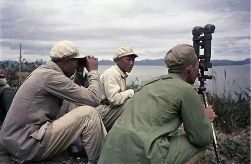 紫石英号事件双方伤亡多少,紫石英号事件双方伤亡多少人