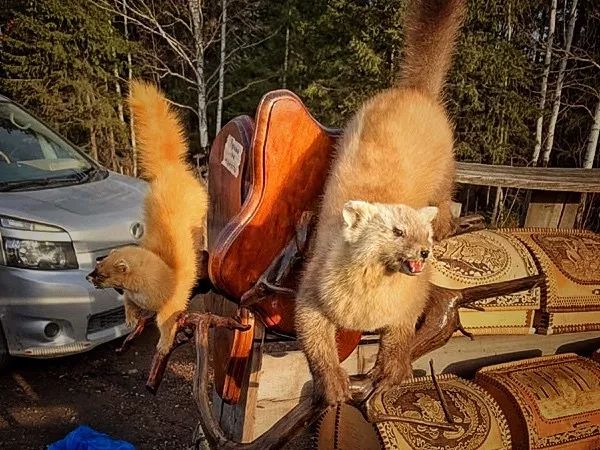 重返丝绸丈量欧亚宝沃汽车一带一路大使非凡之旅（上）