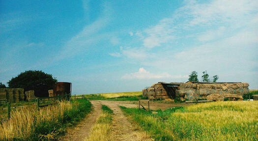 农村创业赚钱的4个小方法,20个农村创业致富小项目