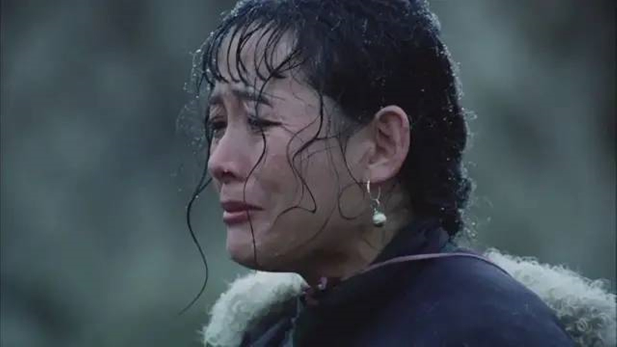 腾格尔曾经出演过哪部电影,腾格尔友情出演的电影