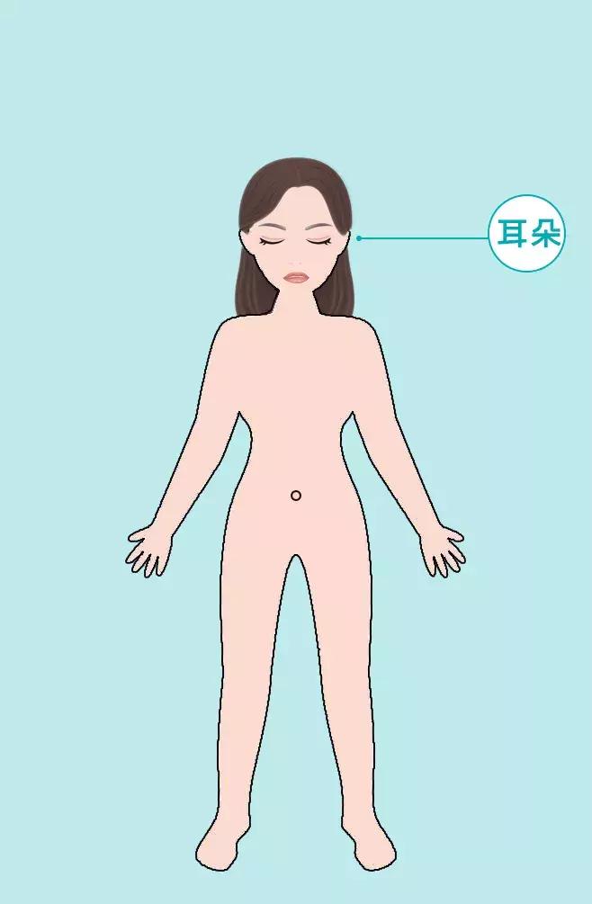 身体这6个部位太干净反而病越多,身体这6个部位太干净反而容易生病