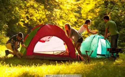 防虫保鲜,防虫保命小妙招