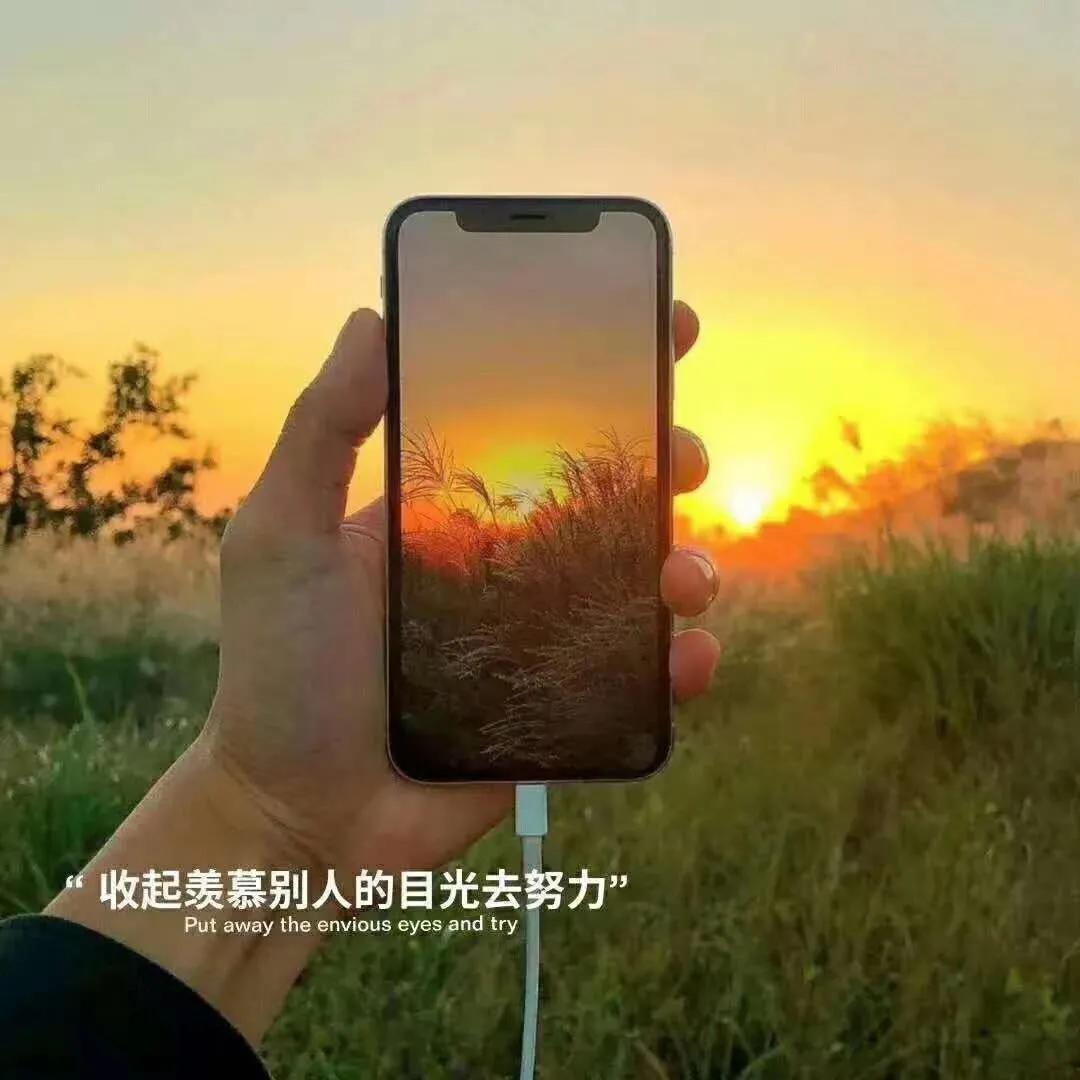 大自然治愈清新的背景图,文艺清新淡雅鲜花背景图