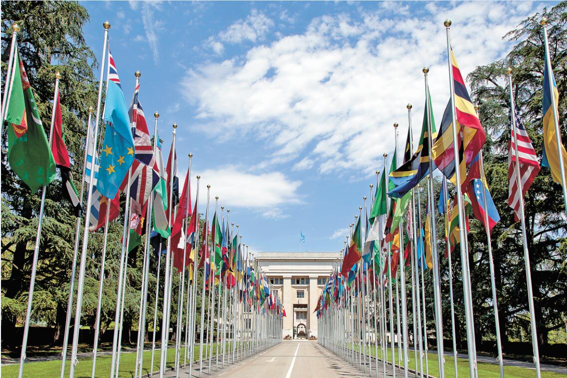 “网络热门*旗国**鉴定”，没用的知识又增加了