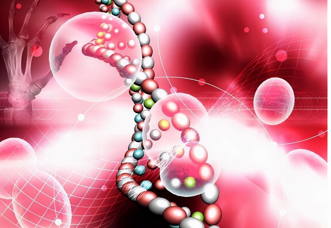 贫血吃什么补血最快女性老年人,贫血吃什么补血最快最好孕妇