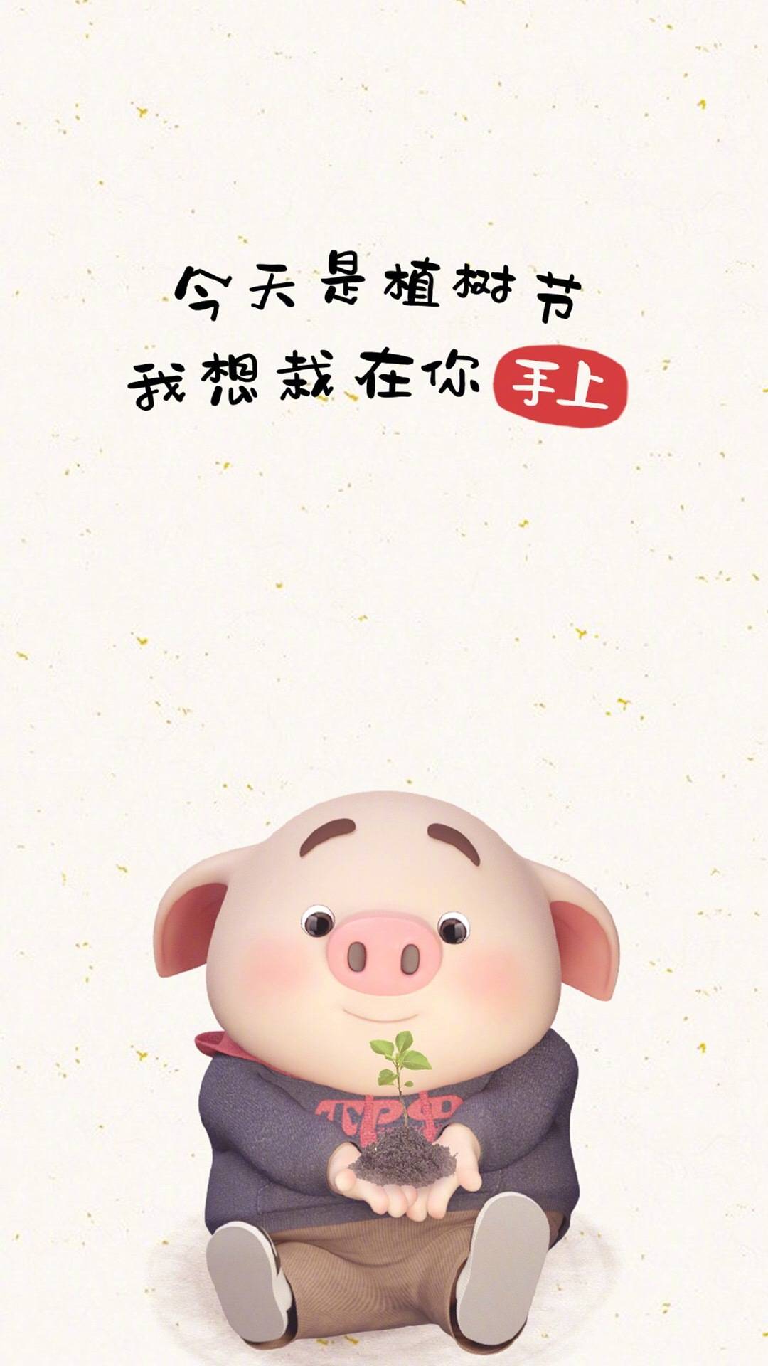 2019超可爱猪猪高清手机壁纸,100张高清无水印超萌猪猪手机壁纸