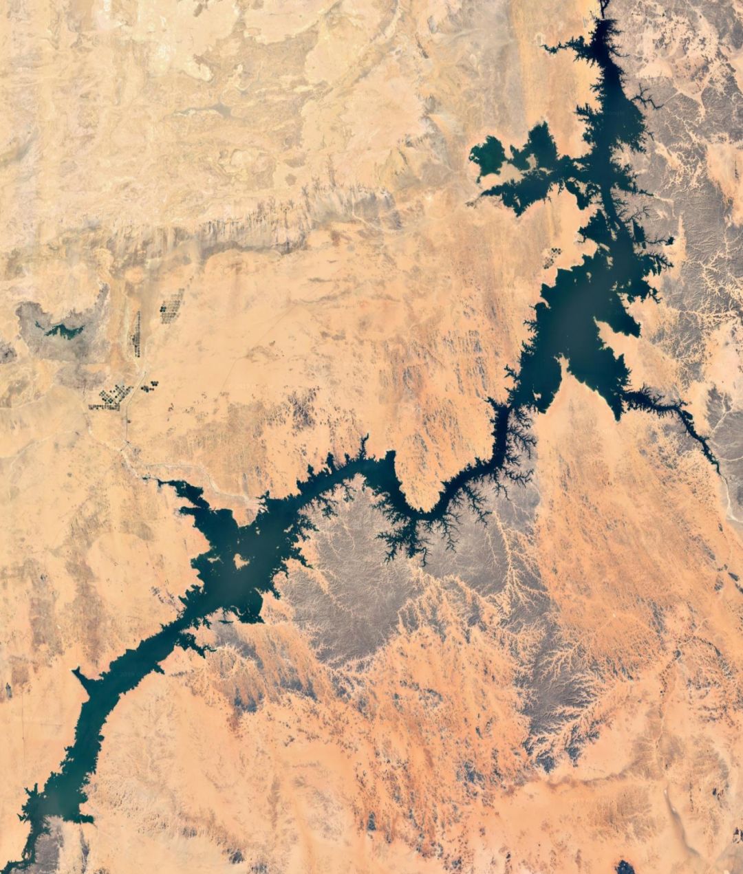 尼罗河是埃及最长的河流,世界上最长的河尼罗河大约多少米