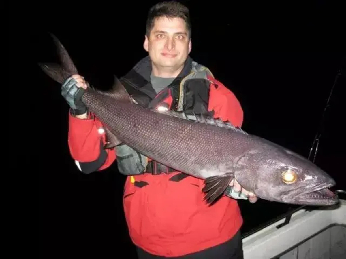 名不虚传的费裤衩鱼，吃完化身喷油射手，香滑口感带来尴尬境遇