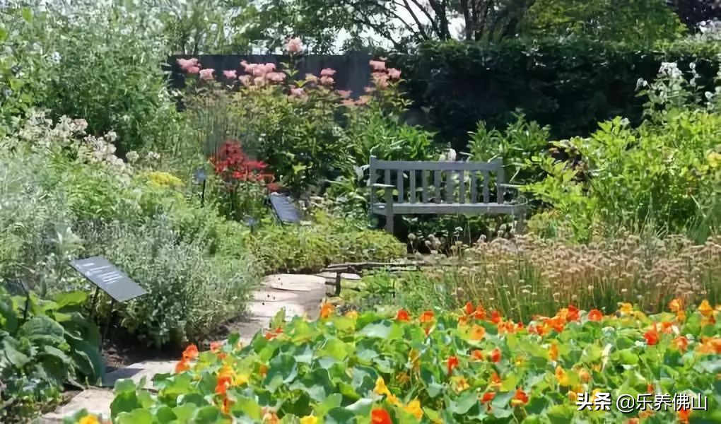 简易园艺疗法,园艺治愈心灵