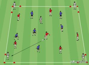高水平运动员文化成绩要求趋势,高智商足球运动员