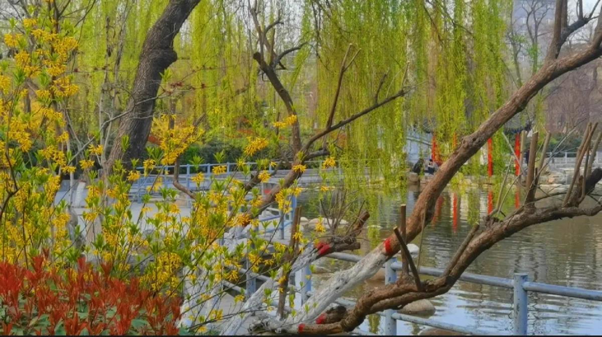 西安莲湖公园要门票吗,西安莲湖公园历史