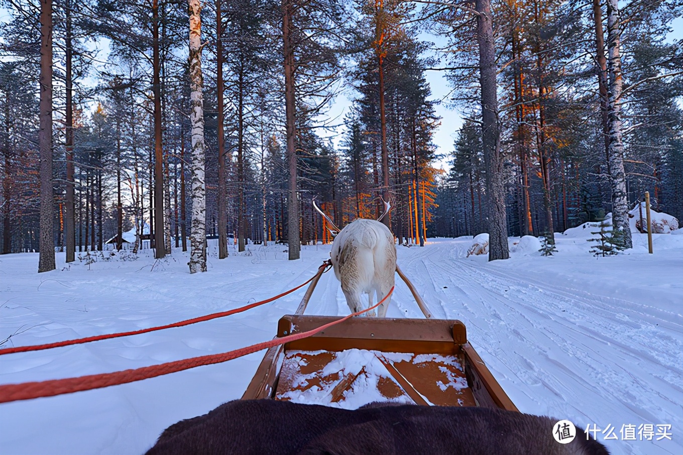欧游杂记，追寻圣诞老人和极光
