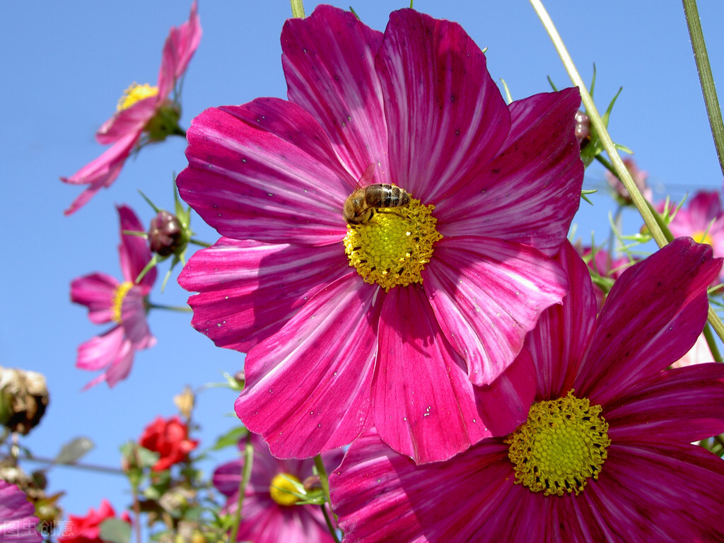 做生意发朋友圈励志的句子正能量,早上好励志正能量朋友圈句子大全