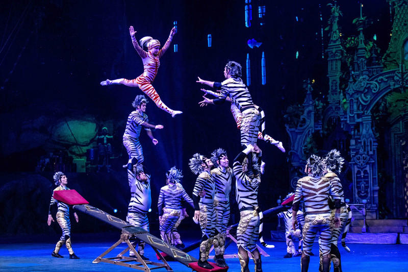 广州长隆野生动物世界旅游攻略,长隆野生动物世界攻略2-3天广州游