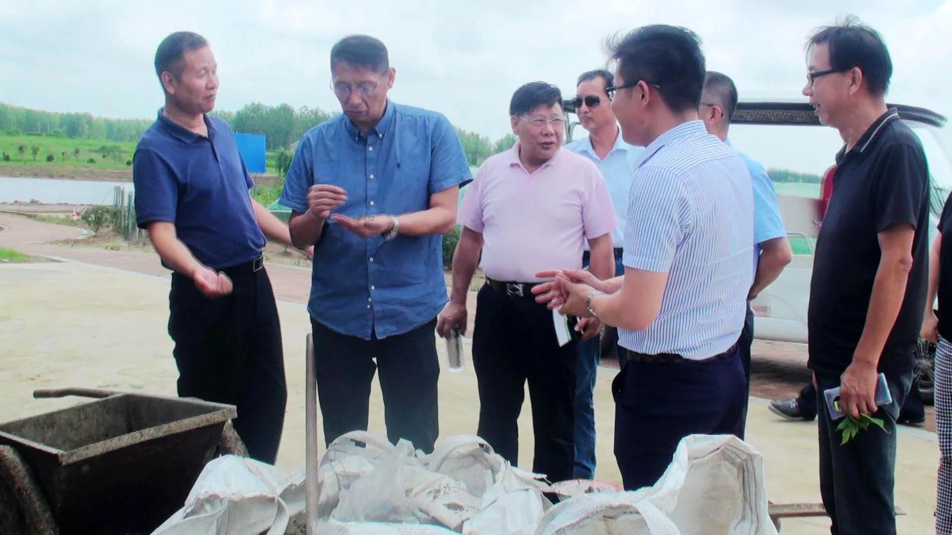 安徽省霍邱县彭塔乡构树基地,宜胜资产管理上海有限公司