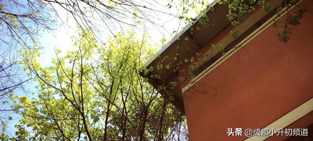 温江嘉祥招生小学升初中,2021年郫都区嘉祥小升初入学条件