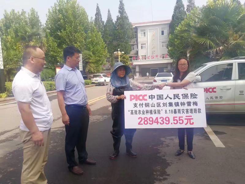 扎扎实实服务乡村振兴战略徐州人保财险创新农险高质量发展纪实