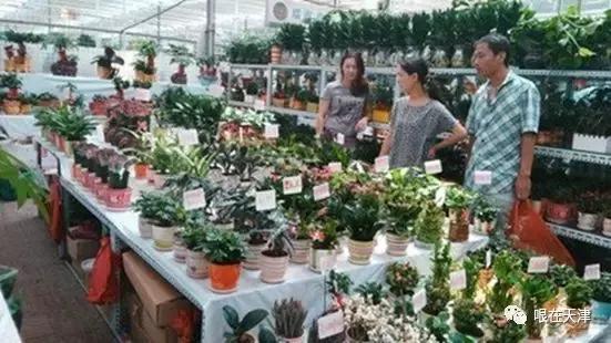 天津哏儿都的好去处,天津哏儿都