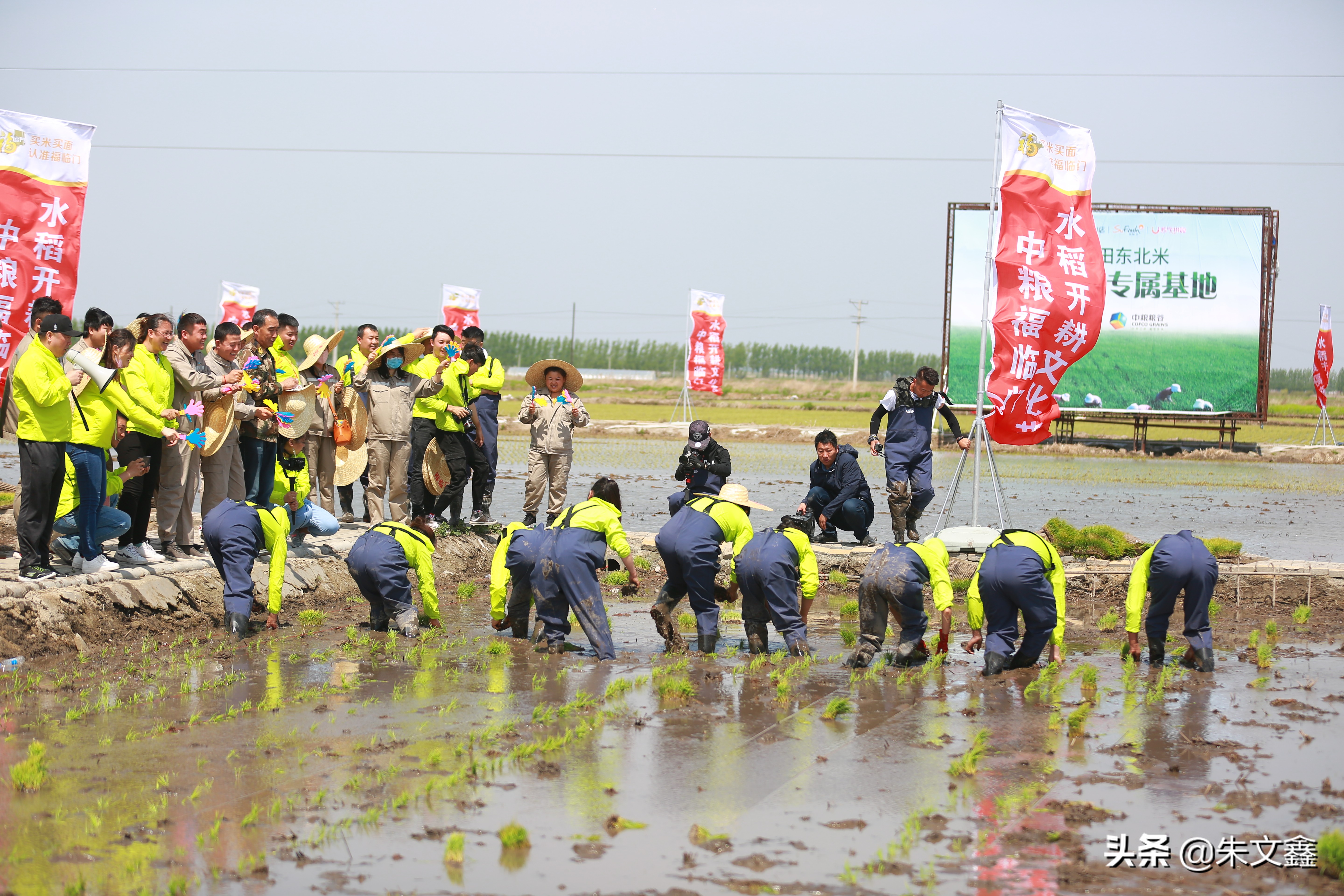 中粮虎林大米,中粮米业虎林有限公司怎么样