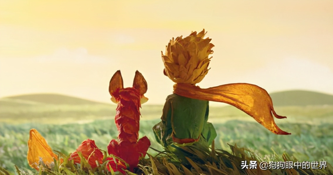 流浪狗治愈抑郁症,没想到自己竟然得了重度抑郁症