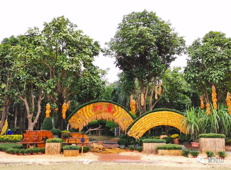 自拍达人全景,南宁自拍拍照博主