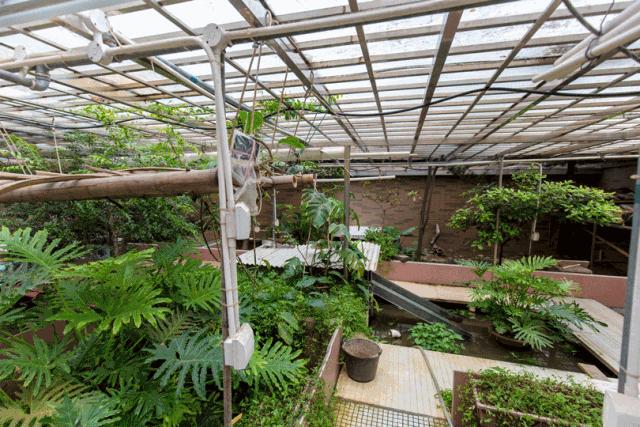 最火的网红甜品简单易学颜值高,低成本简单网红爆款甜品