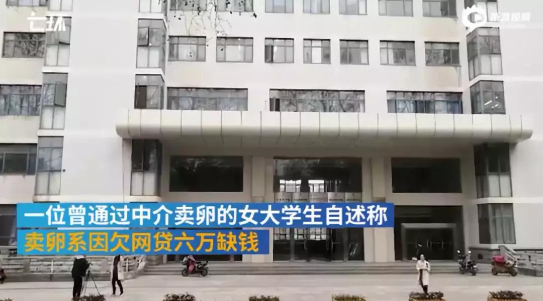 不打麻药取29颗卵子有多疼,不打麻药取29颗卵子