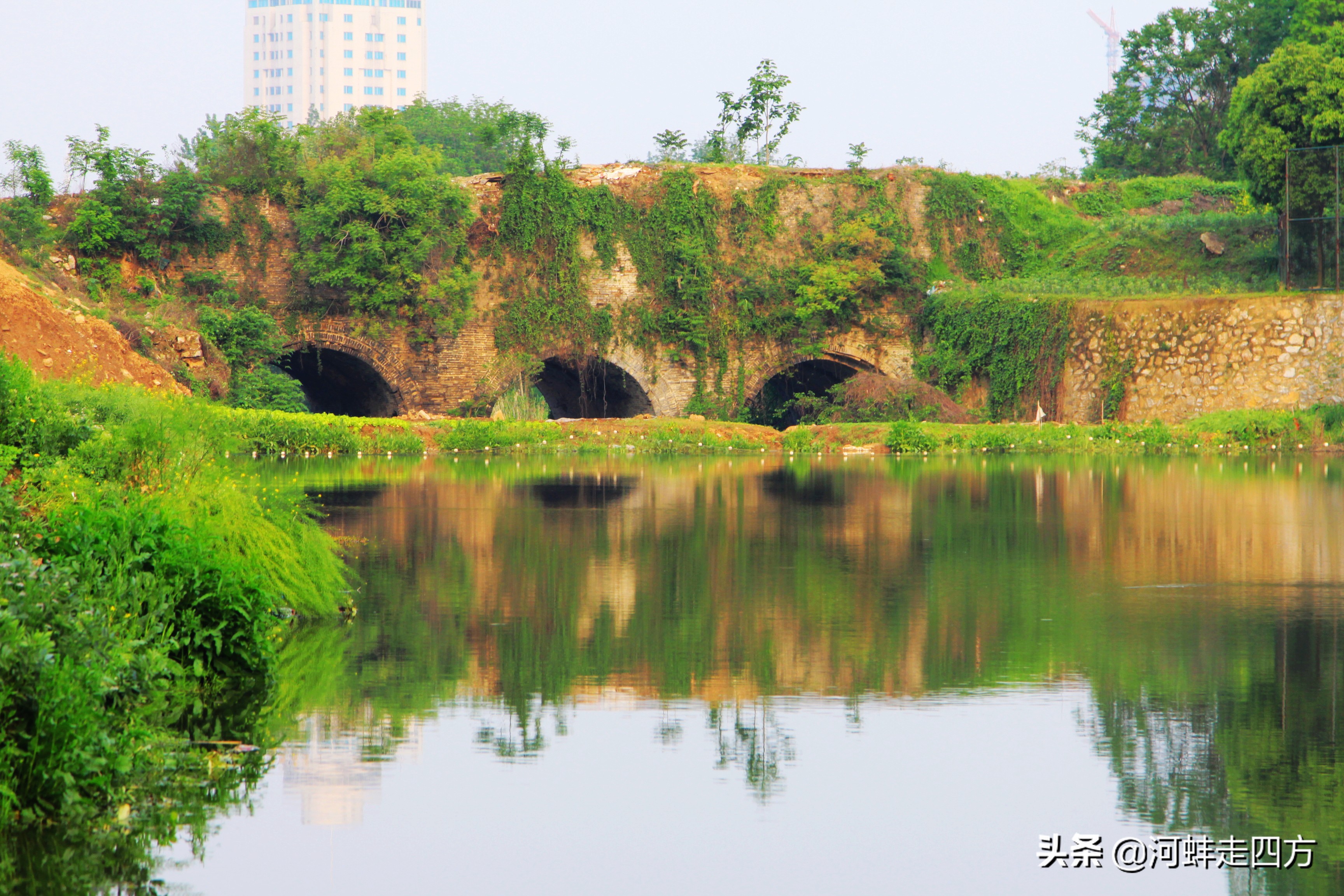 带雨晚来急野渡无人舟自横诗意,野渡无人舟自横的野渡的意思