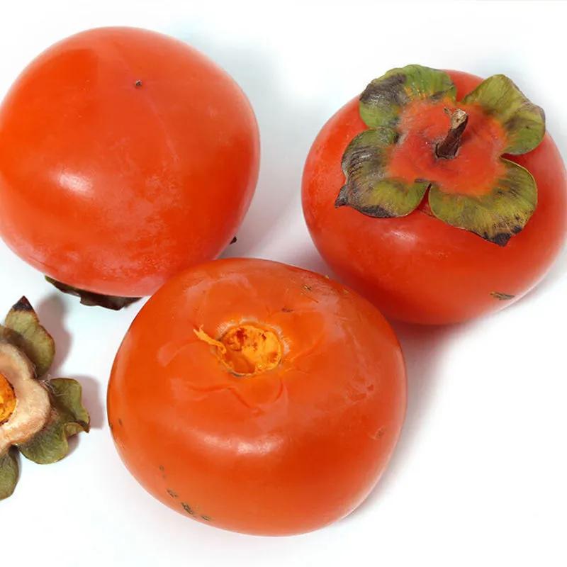 中药古今研究羌活,中药古今研究的视频