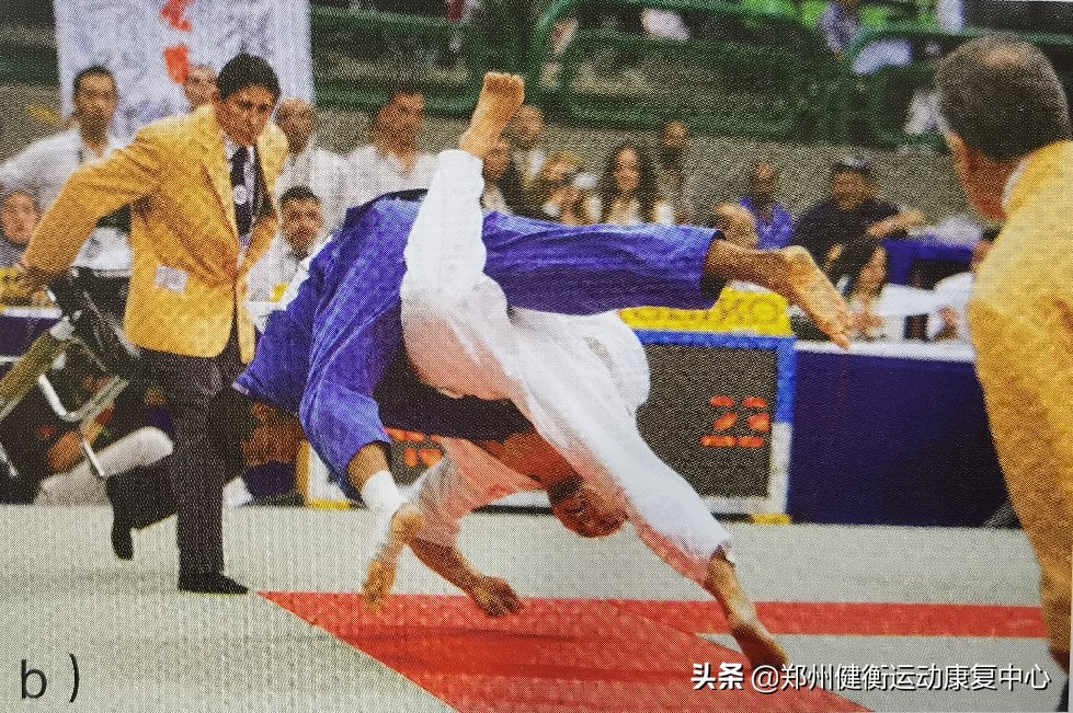 干货来了翡翠知识全解,半月板科普15秒视频