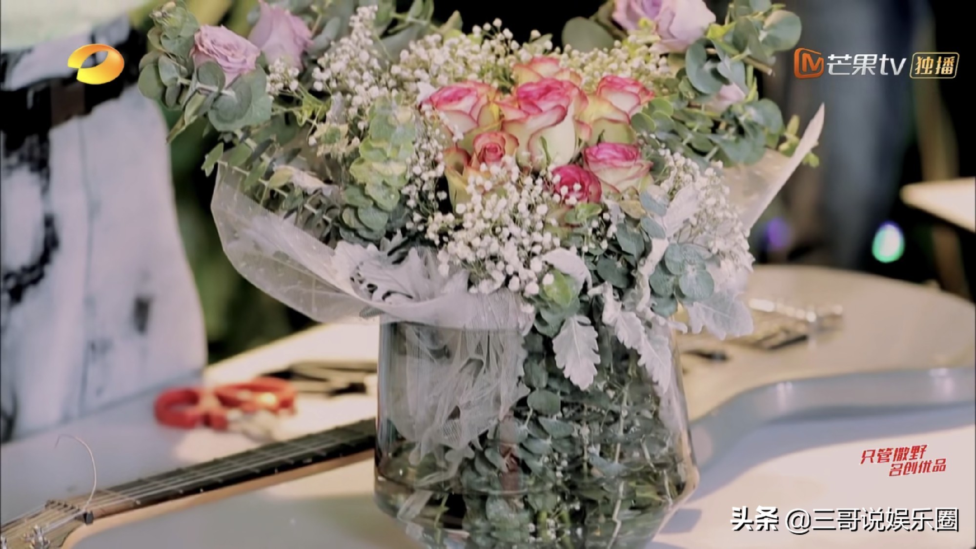 王一博和张碧晨天天向上插花,张碧晨天天向上三人合唱