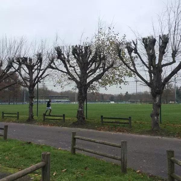 法足协主席：准备在中国建“小克莱枫丹”，克莱枫丹你了解多少？