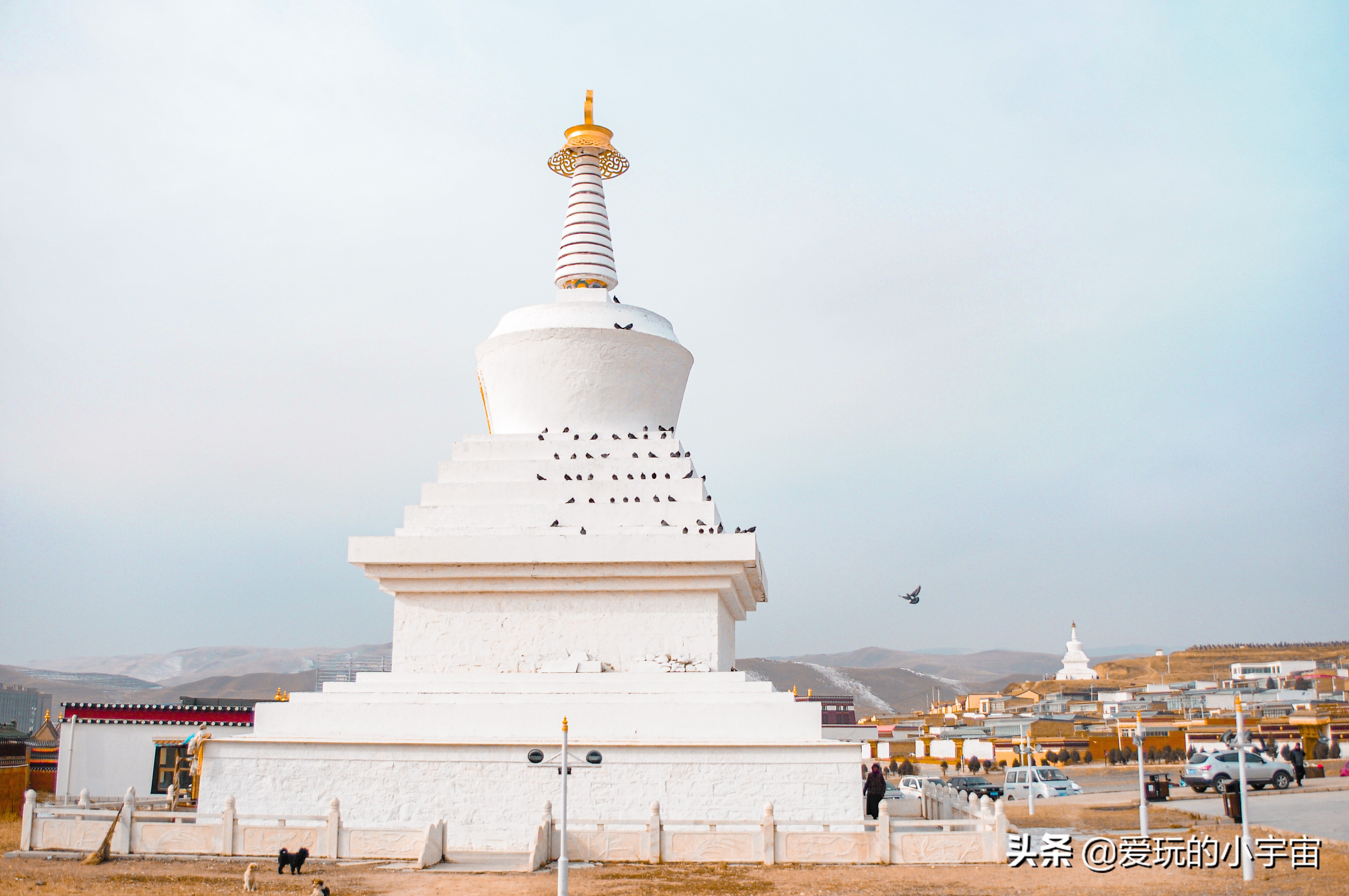 甘南的沧海遗珠，合作市这座以传奇僧人为名的佛阁一定不能错过
